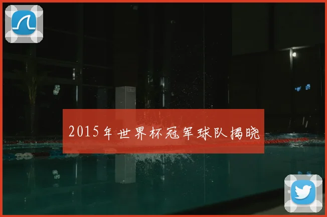 2015年世界杯冠军球队揭晓