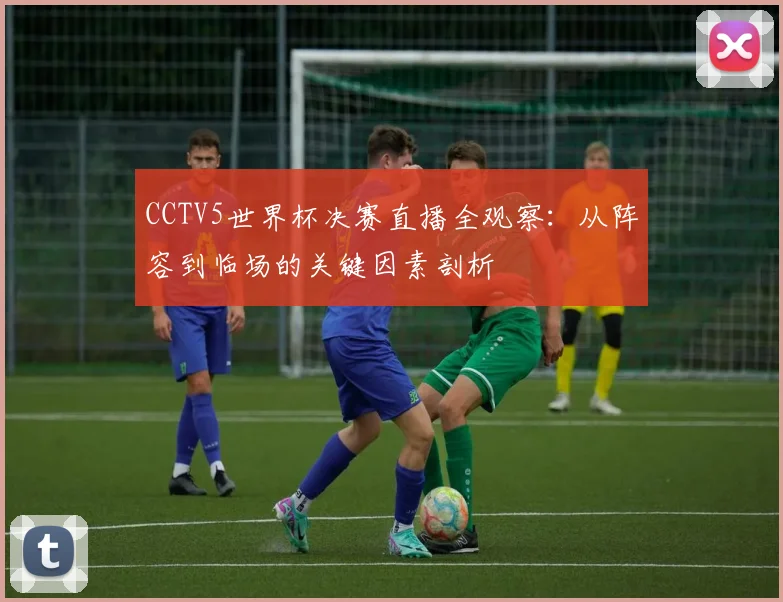 CCTV5世界杯决赛直播全观察：从阵容到临场的关键因素剖析