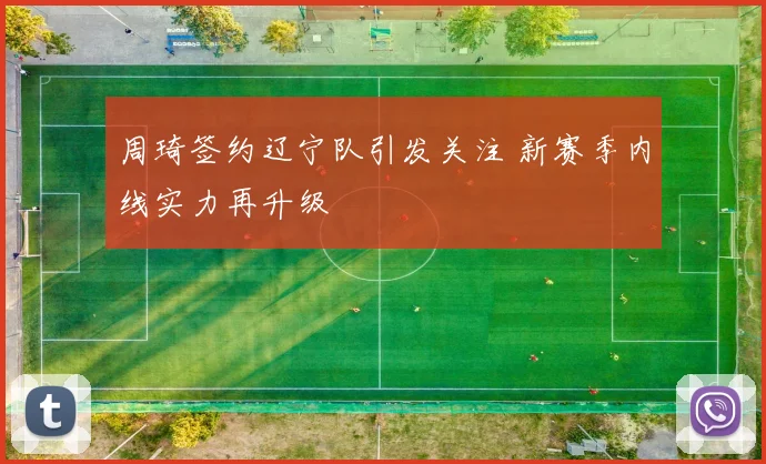 周琦签约辽宁队引发关注 新赛季内线实力再升级