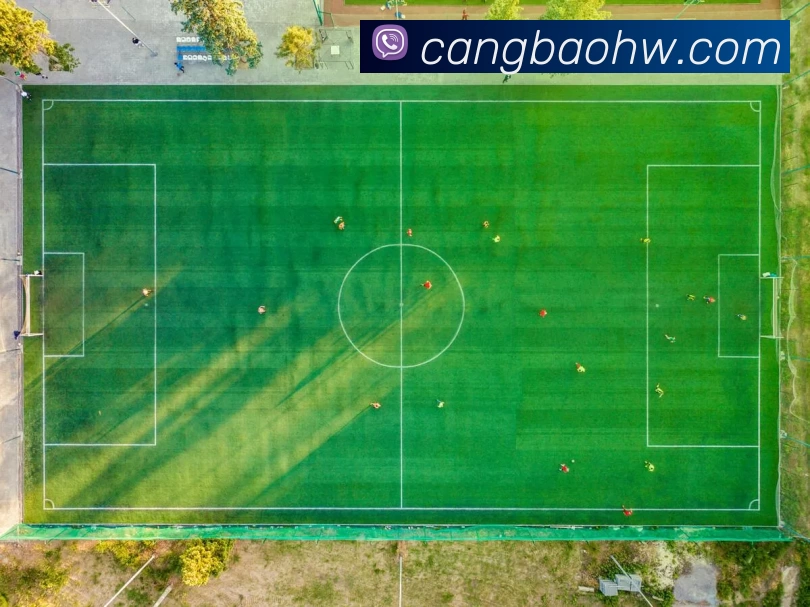 星空体育体育登录入口品牌故事