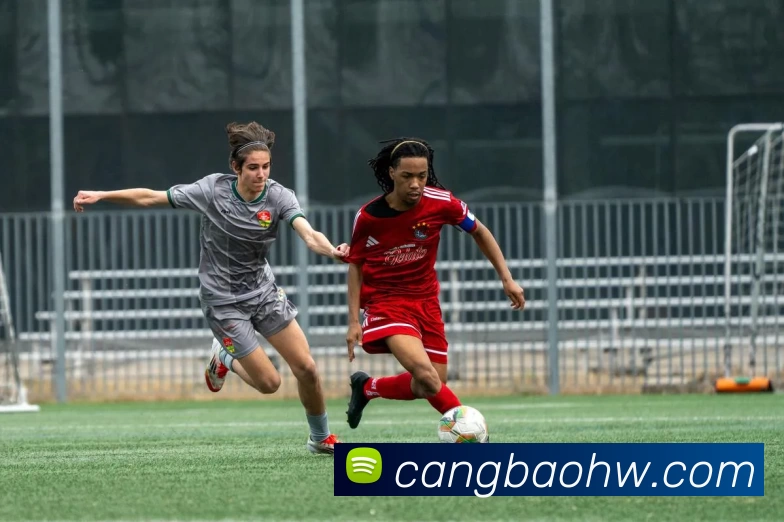 星空体育体育登录入口服务体系