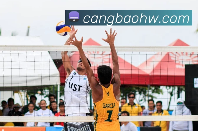 星空体育体育登录入口APP 体育赛事宣传图